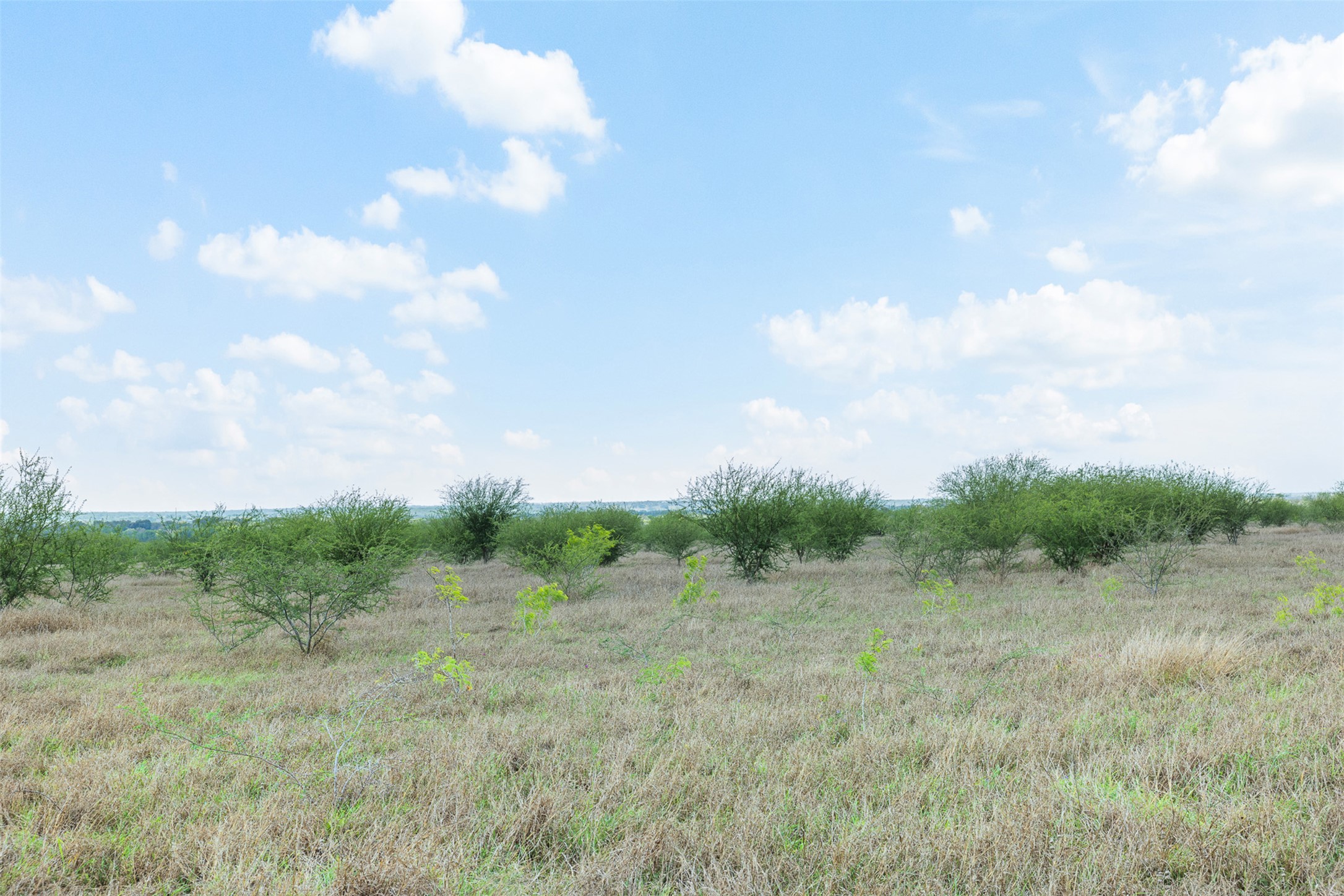 20.02-acres Concrete-Edgar Road Cuero, TX 77954 - Photo 8 of 20 View of nature with rural landscape