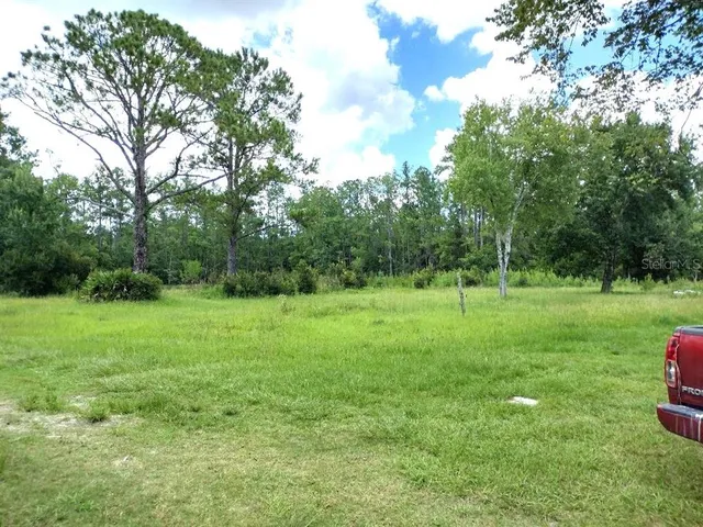 a view of a park with large trees