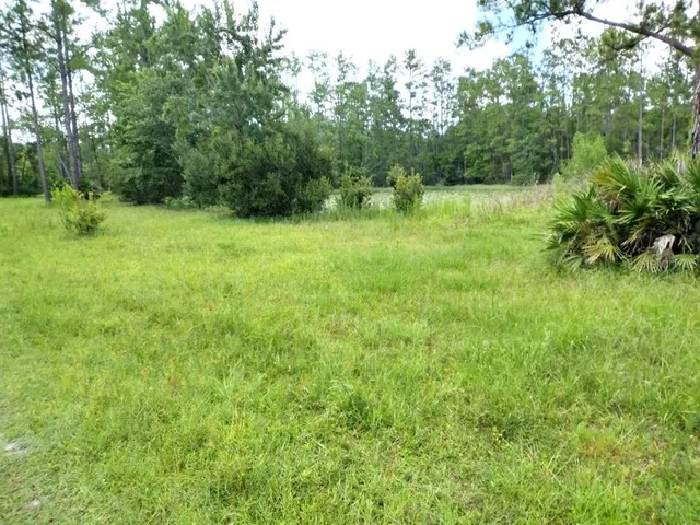 a view of outdoor space with a garden and trees