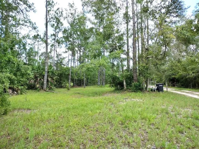 a view of a grassy field with trees in the background