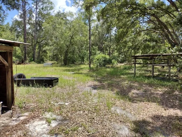 a view of a lake with a bench and trees