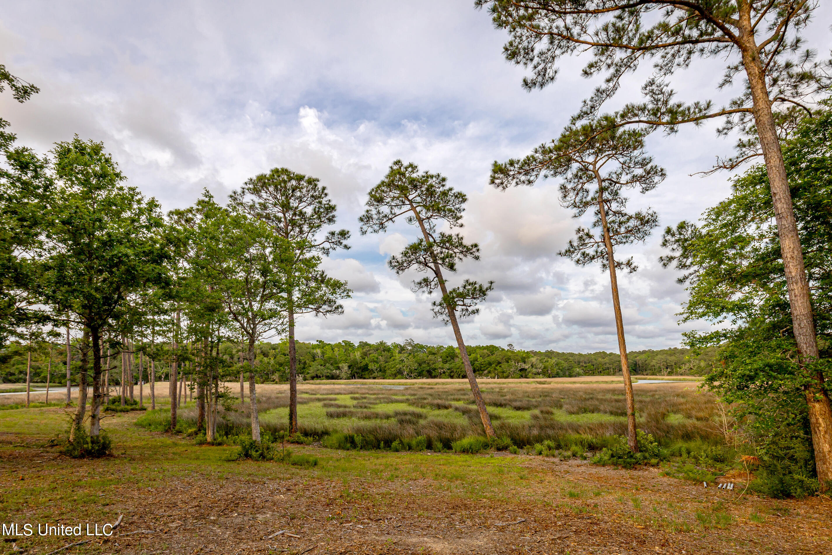 Pointe Of View Ocean Springs, MS 39564 - Photo 17 of 39 IMG_8174