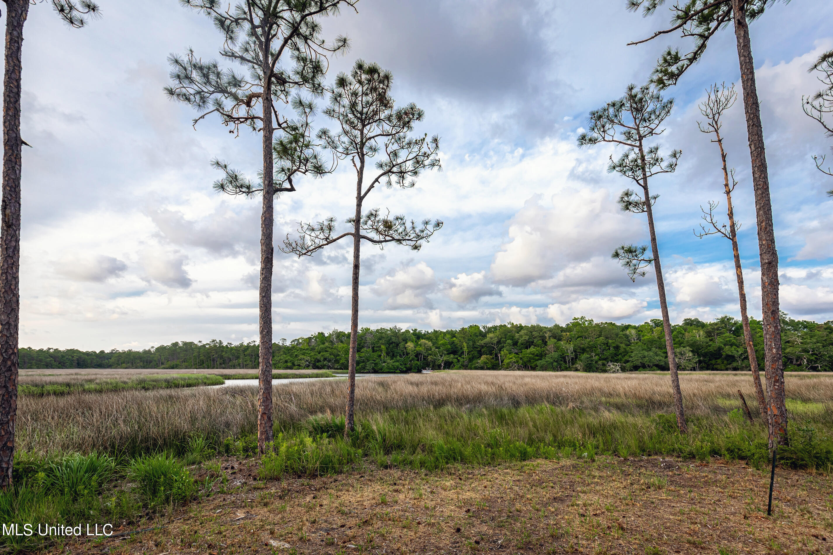 Pointe Of View Ocean Springs, MS 39564 - Photo 24 of 39 IMG_8209