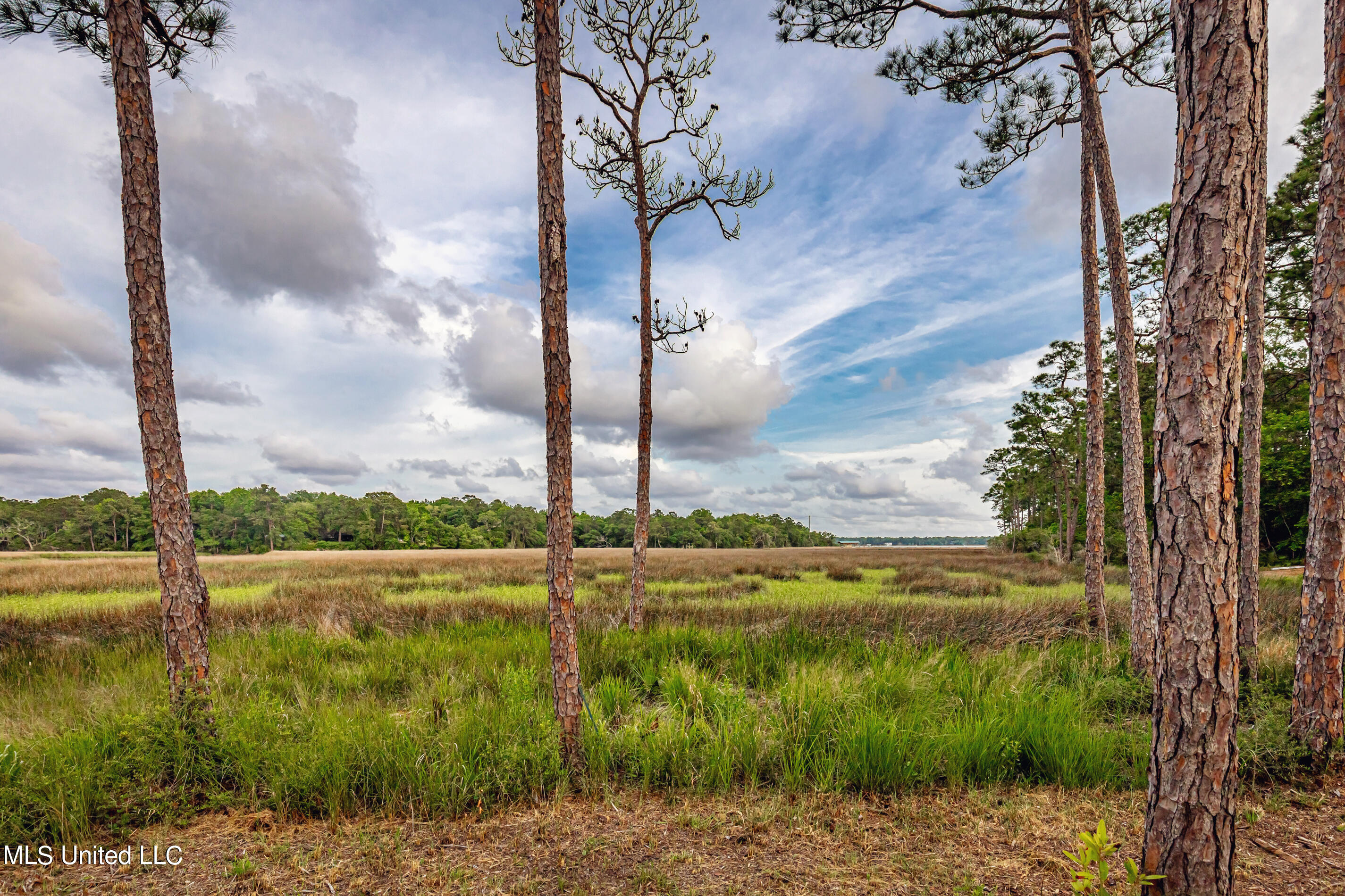 Pointe Of View Ocean Springs, MS 39564 - Photo 27 of 39 IMG_8216