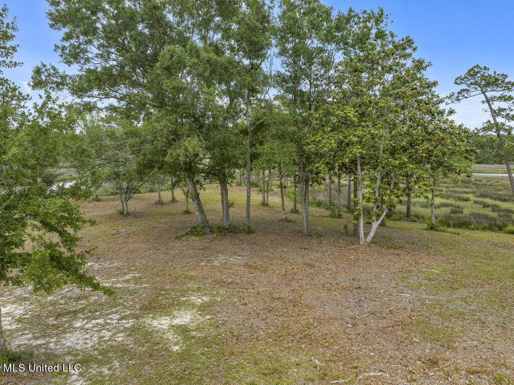Pointe Of View Ocean Springs, MS 39564 - Photo 5 of 39 PointeofViewLot-14