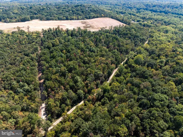 a view of a dry yard