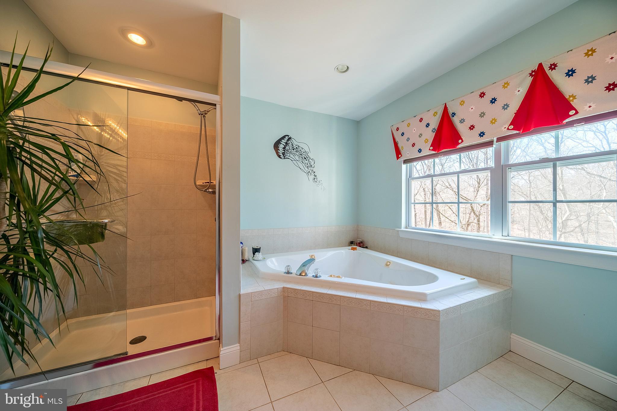 32 Jacobs Creek Road Ewing, NJ 08628 - Photo 36 of 54 Gallery Image 36