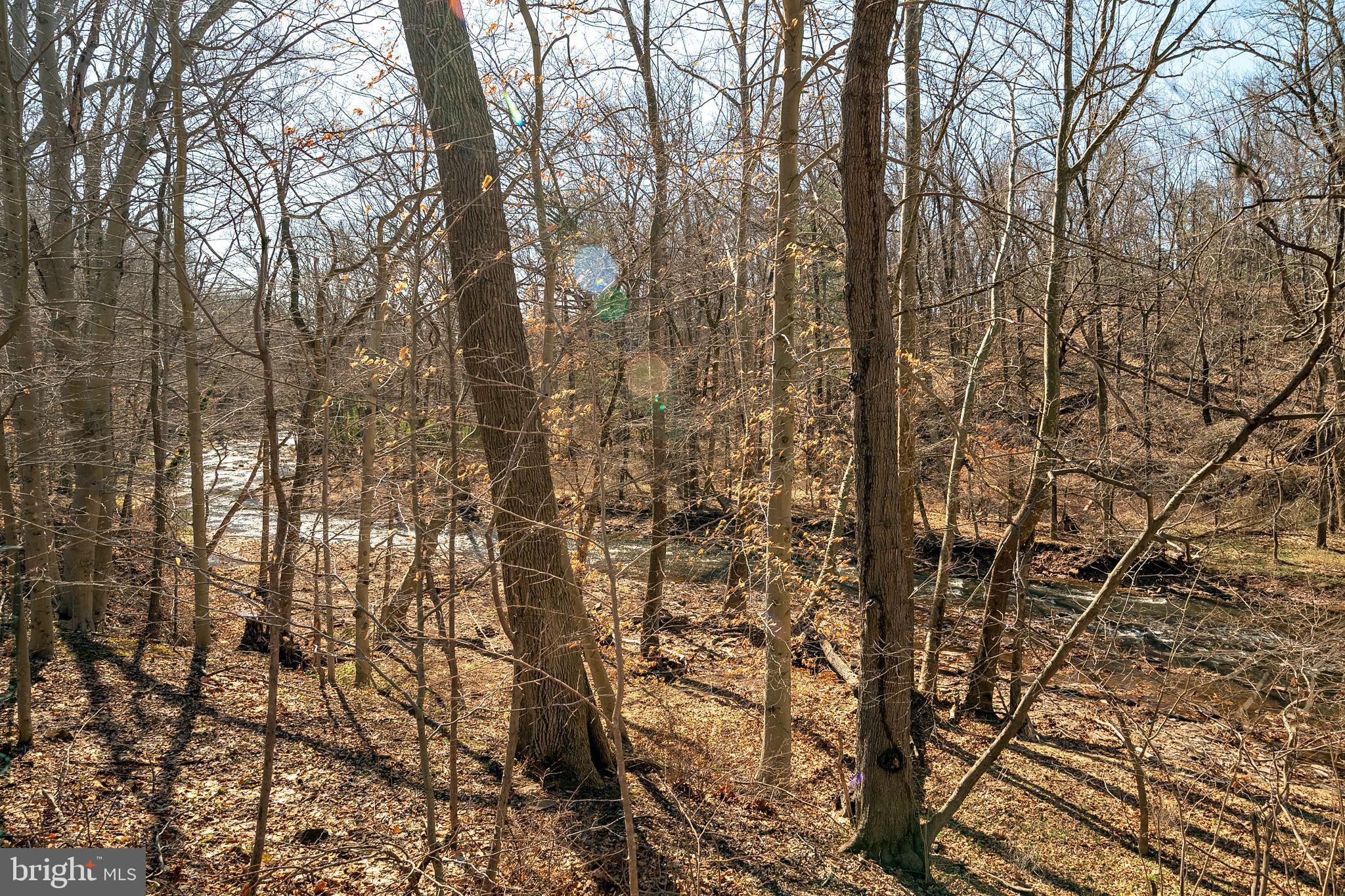 32 Jacobs Creek Road Ewing, NJ 08628 - Photo 8 of 54 Gallery Image 8
