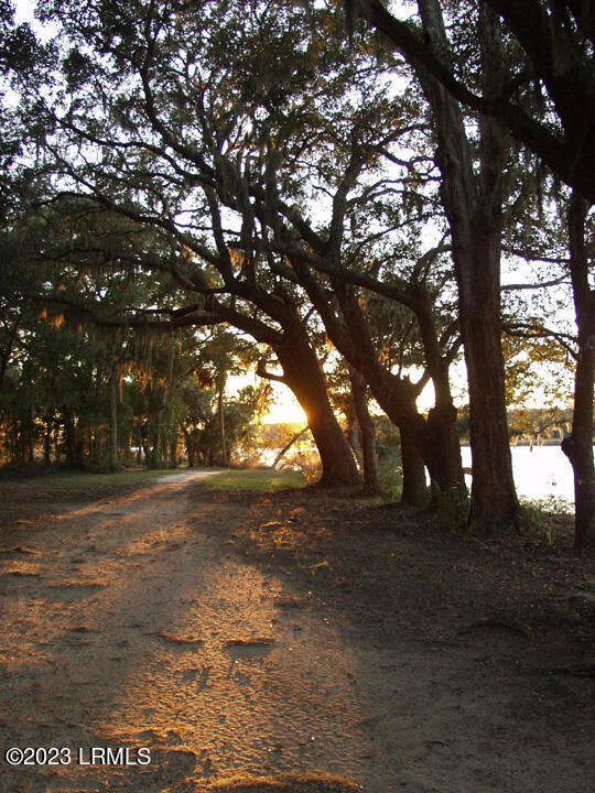 435 Distant Island Drive Beaufort, SC 29907 - Photo 18 of 18 Stroll 013