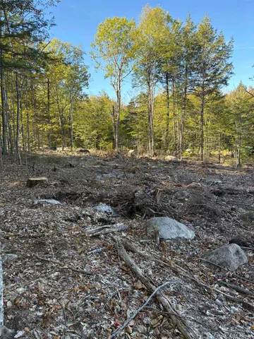 $79,900 | 27 Sugar Loaf Drive, Unit 14, Ossipee, NH 03814