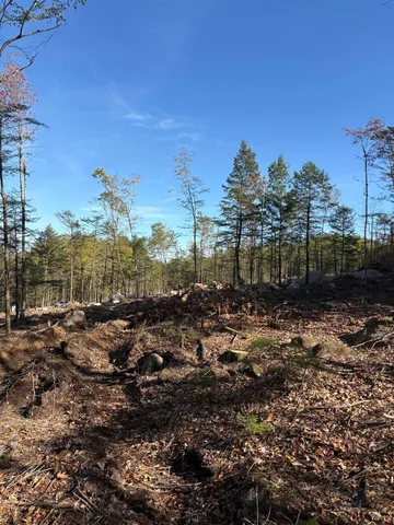 $79,900 | 27 Sugar Loaf Drive, Unit 14, Ossipee, NH 03814