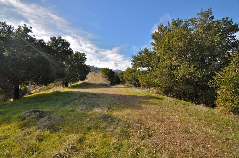 0 Mt Eden Road Saratoga, CA 95070 - Photo 5 of 27