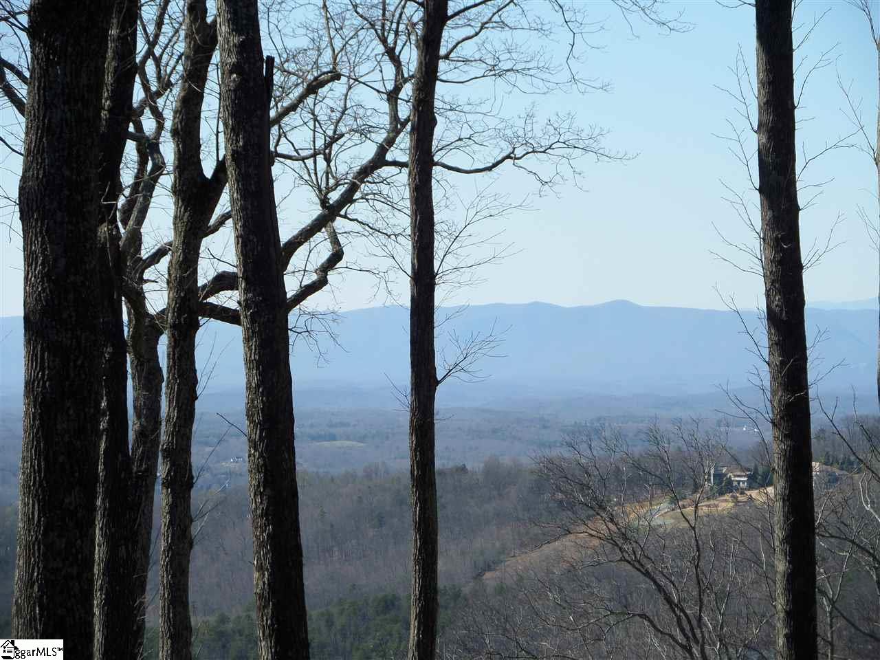 11 Altamont Road Greenville, SC 29609 - Photo 1 of 6