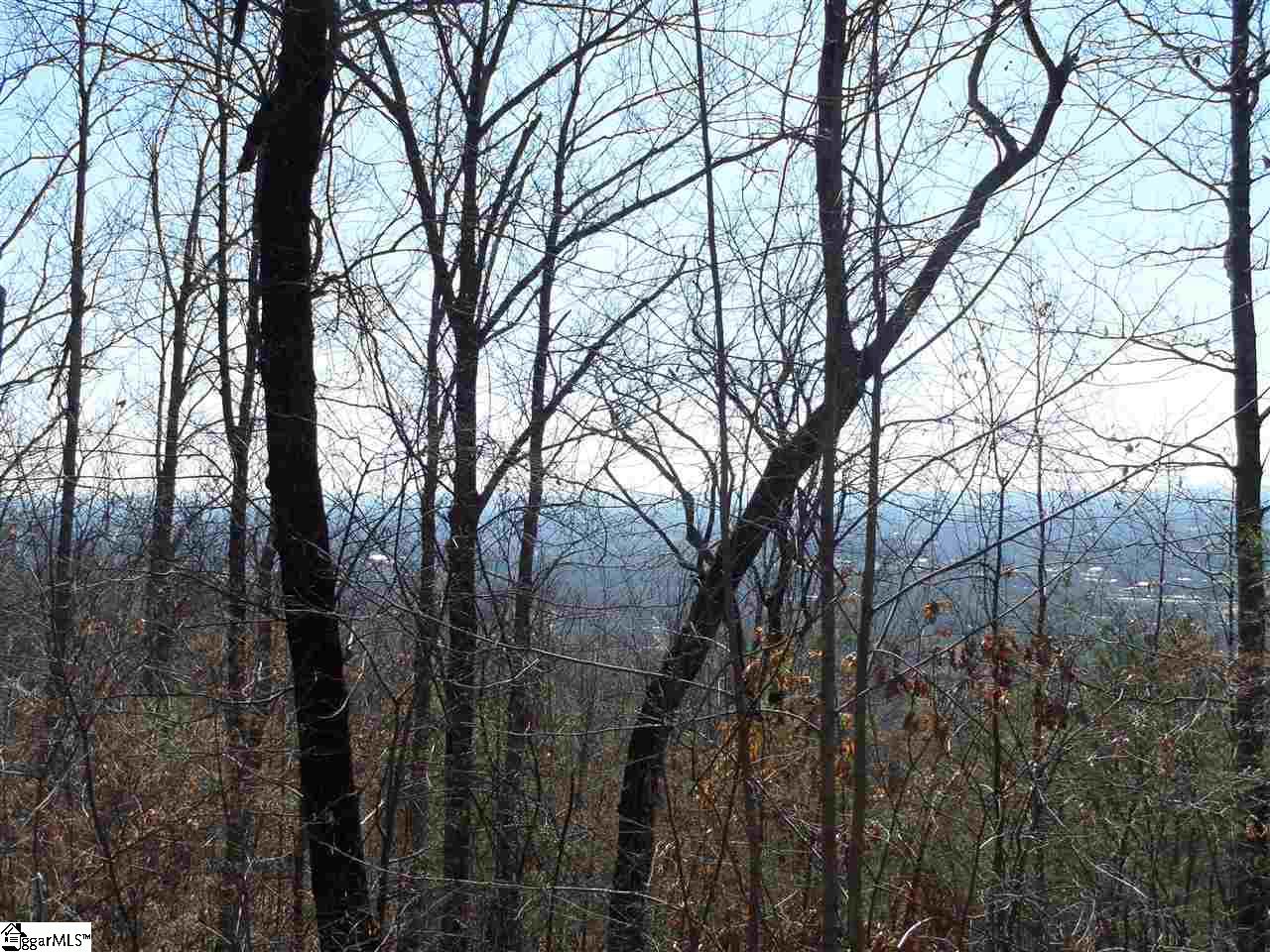 11 Altamont Road Greenville, SC 29609 - Photo 5 of 6