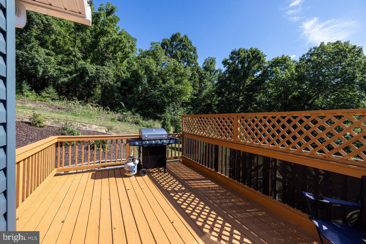 3368 Swover Creek Road Edinburg, VA 22824 - Photo 49 of 95