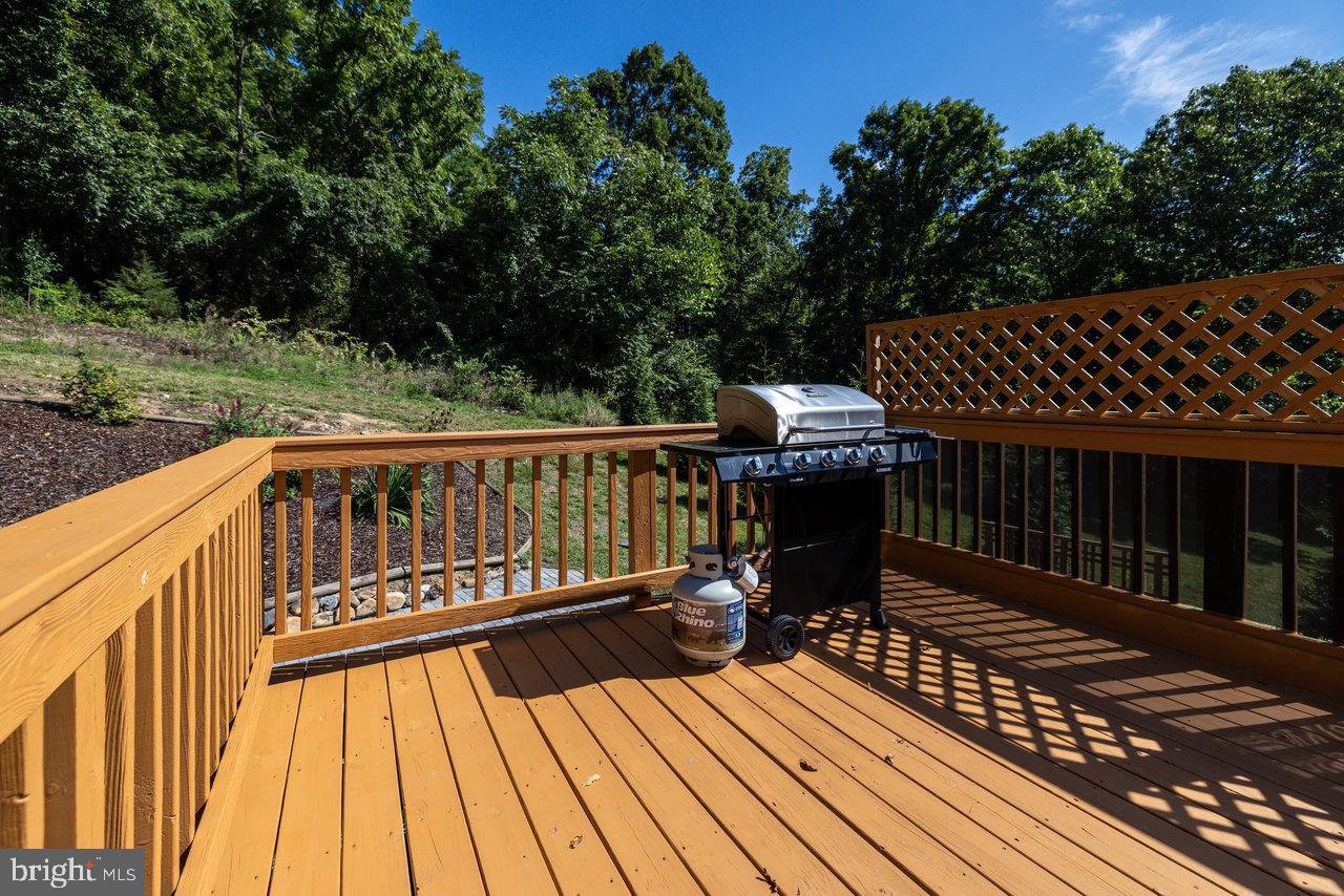 3368 Swover Creek Road Edinburg, VA 22824 - Photo 51 of 95