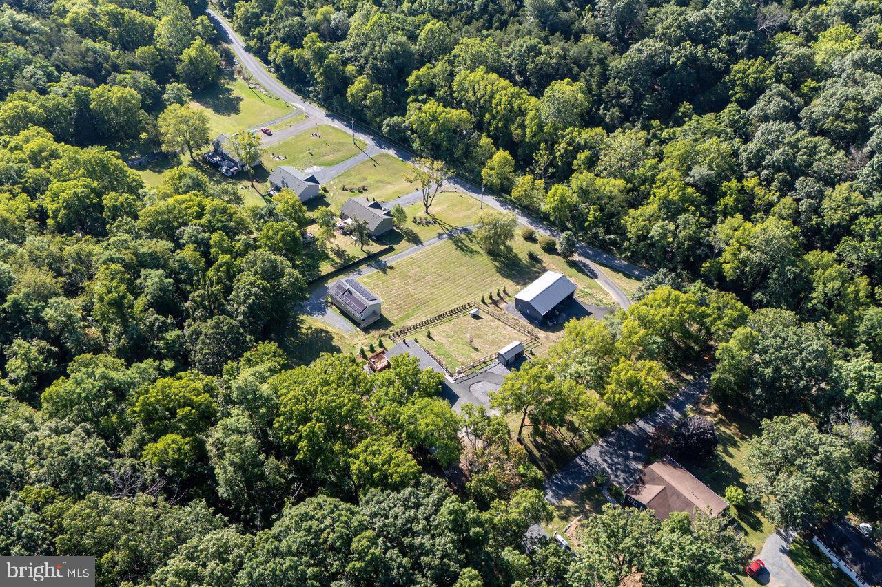 3368 Swover Creek Road Edinburg, VA 22824 - Photo 83 of 95