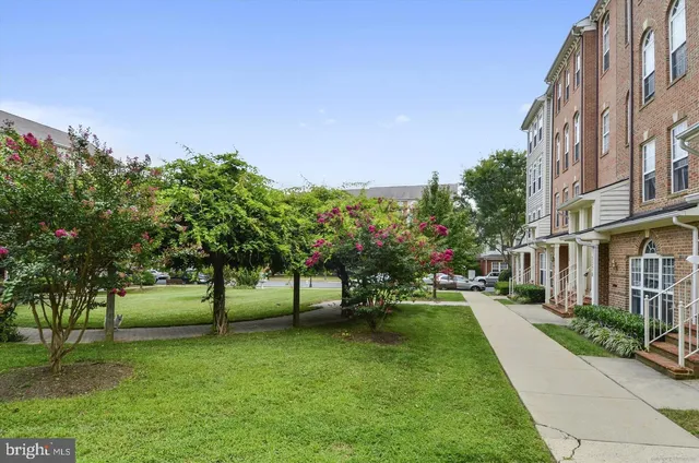 a view of a park with large trees