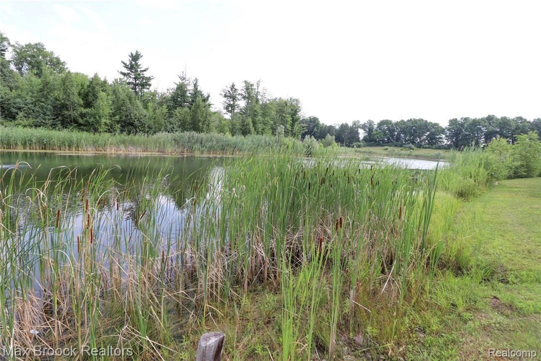 1633 East Hunters Creek Road Lapeer, MI 48446 - Photo 65 of 70 4E7793E2-0E75-40B8-92D0-5317150AF556.jpeg
