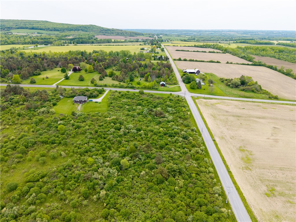 Rock Spring Hill Road Dansville, NY 14437 - Photo 9 of 20