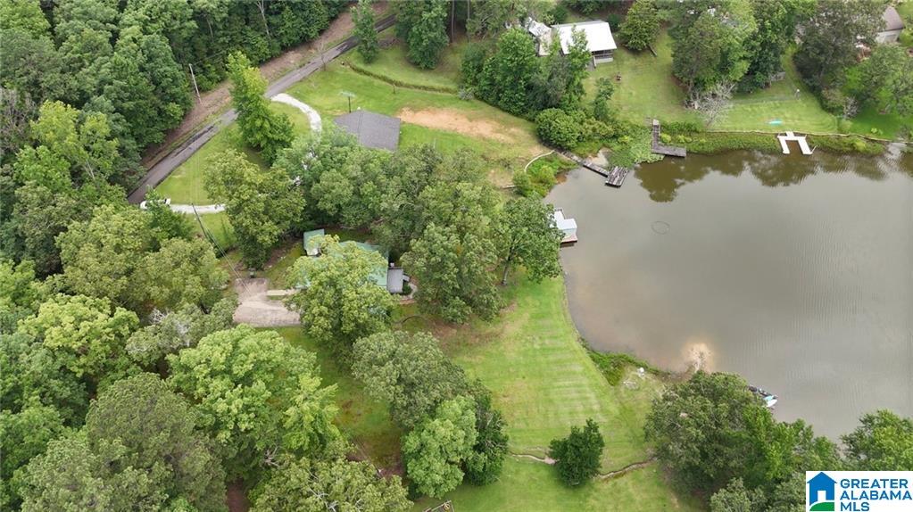 352 Harkins Lake Road Fayette, AL 35555 - Photo 7 of 41
