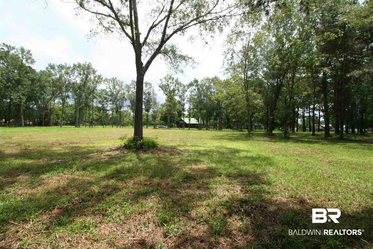 Douglas Road Grand Bay, AL 36541 - Photo 5 of 6