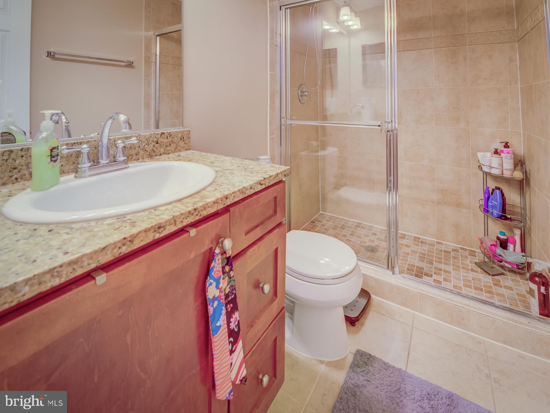 272 North Cottage Road Sterling, VA 20164 - Photo 15 of 27 updated bath attached to primary bedroom