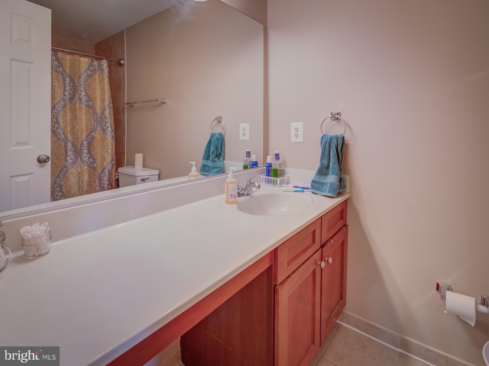 272 North Cottage Road Sterling, VA 20164 - Photo 17 of 27 Hall bath on upper level