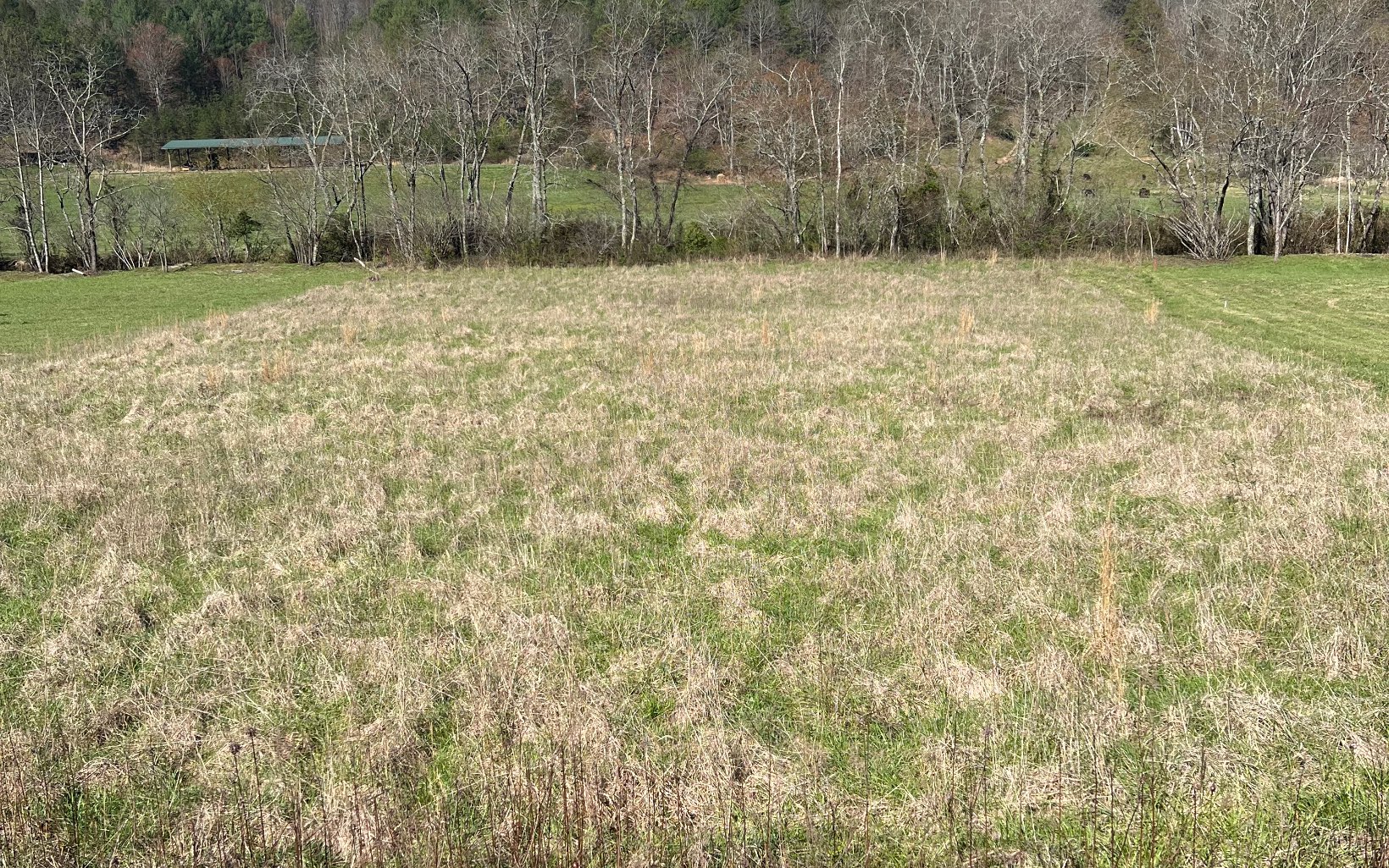 Lot 4 Pine Log Road Warne, NC 28909 - Photo 1 of 7 Main View