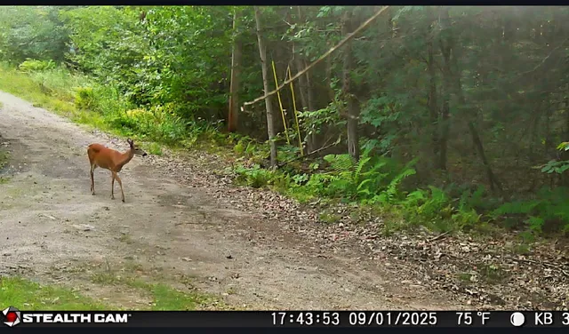 $199,999 | 20 Kittridge Brook Road, West Paris, ME 04289