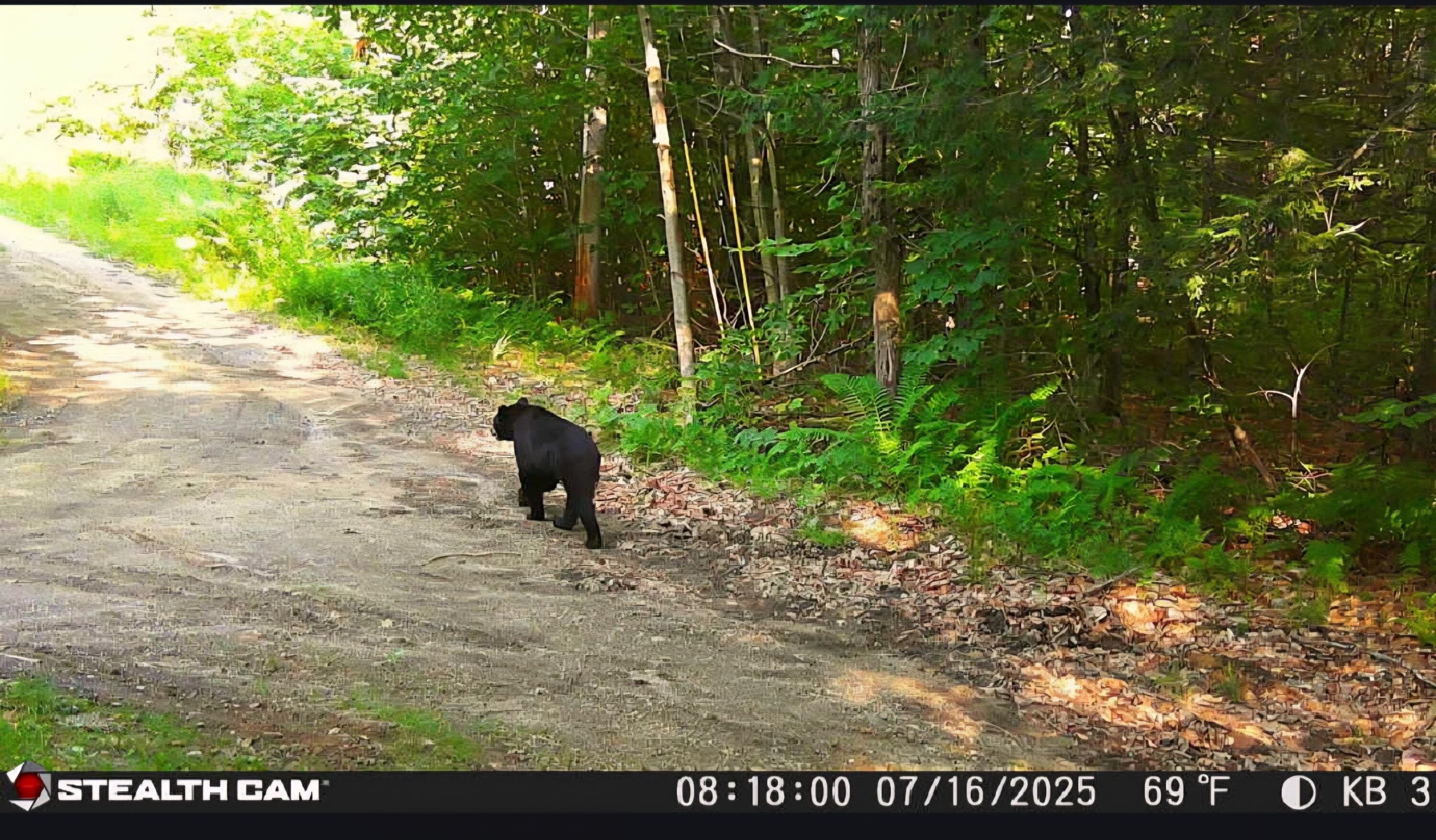 20 Kittridge Brook Road West Paris, ME 04289 - Photo 14 of 17 Screenshot_20251014_084309_resized