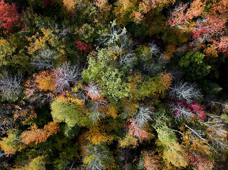 20 Kittridge Brook Road West Paris, ME 04289 - Photo 7 of 17 DJI_0469