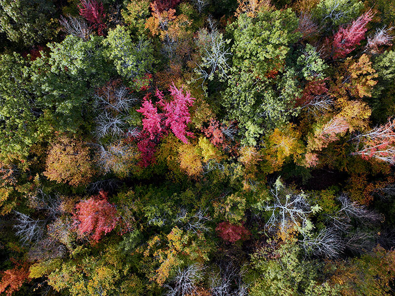 20 Kittridge Brook Road West Paris, ME 04289 - Photo 8 of 17 DJI_0471