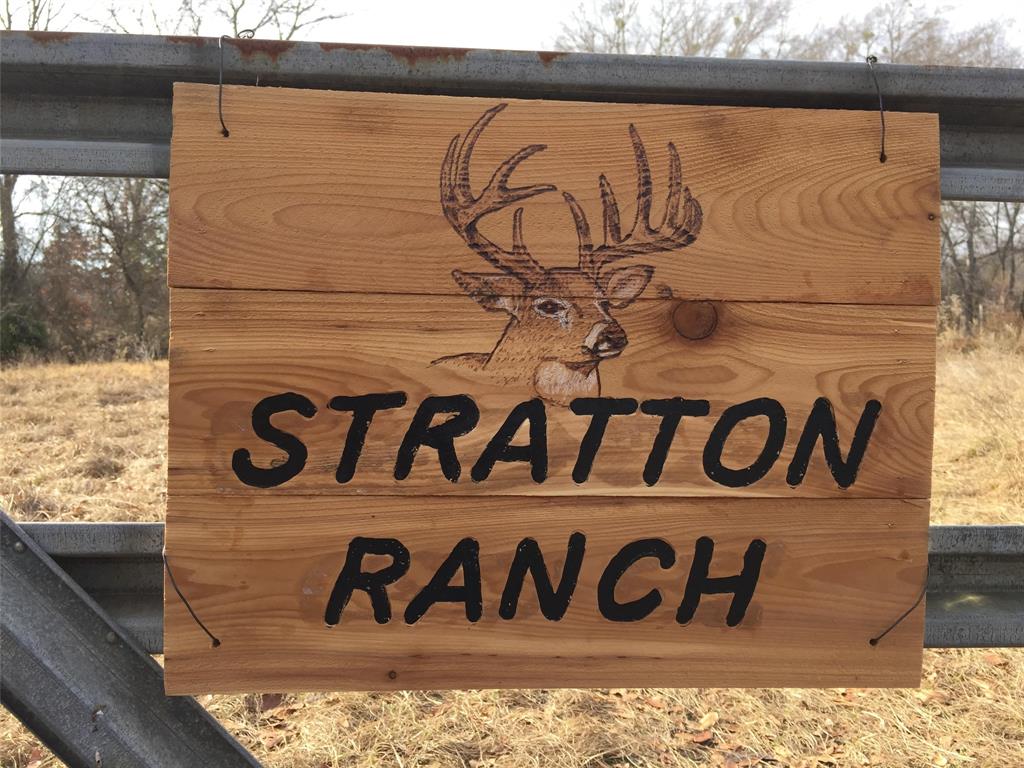 3543 County Road 3543 Saltillo, TX 75478 - Photo 10 of 13