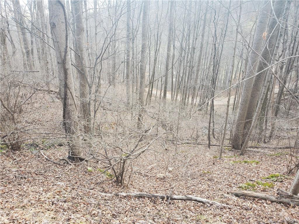 Tbd Spring Valley Drive, Unit 4344 Waynesville, NC 28786 - Photo 1 of 3 a view of wooden fence