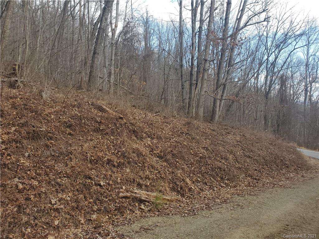 Tbd Spring Valley Drive, Unit 4344 Waynesville, NC 28786 - Photo 2 of 3 a view of backyard with green space