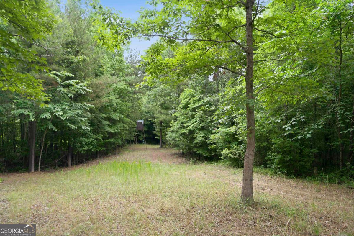 0 Pear Orchard Road Greensboro, GA 30642 - Photo 11 of 34