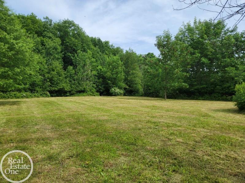 Vl Sheridan Road Emmett, MI 48022 - Photo 3 of 16