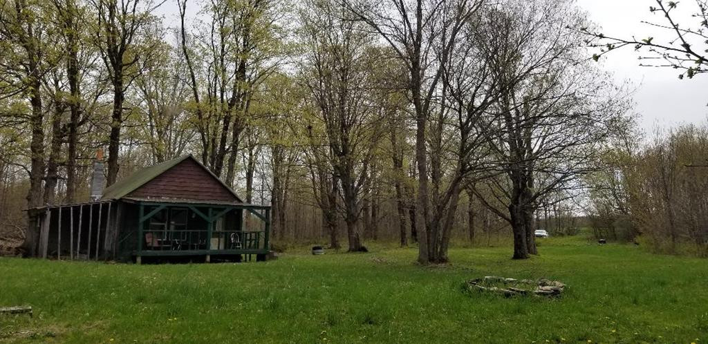 . Tacey Road Ellenburg Center, NY 12934 - Photo 2 of 44
