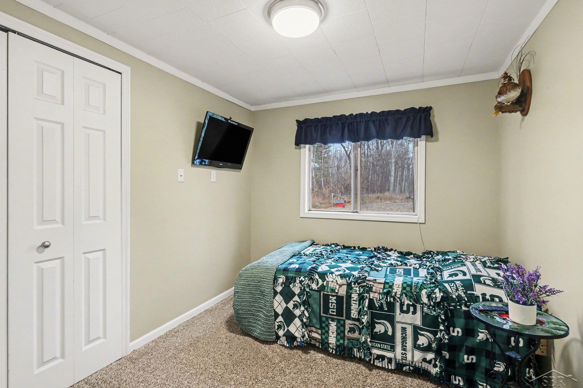 67 East Huron Road Omer, MI 48749 - Photo 15 of 21
