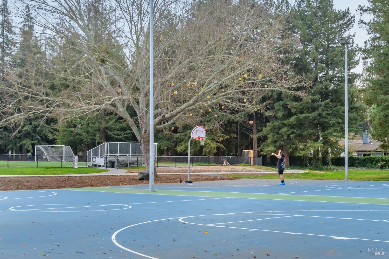 1068 San Francisco Way Rohnert Park, CA 94928 - Photo 28 of 32 Sunrise Park Basketball Courts