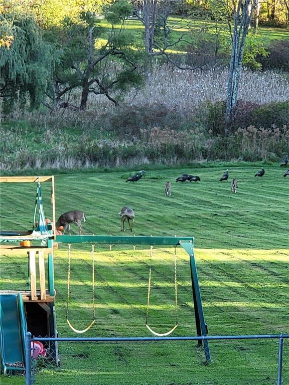 329 New Castle Street Slippery Rock, PA 16057 - Photo 25 of 27 a view of a park with a large trees