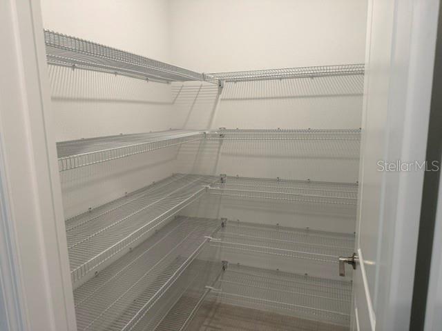 6259 Back Forty Loop Zephyrhills, FL 33541 - Photo 7 of 22 a view of walk in closet