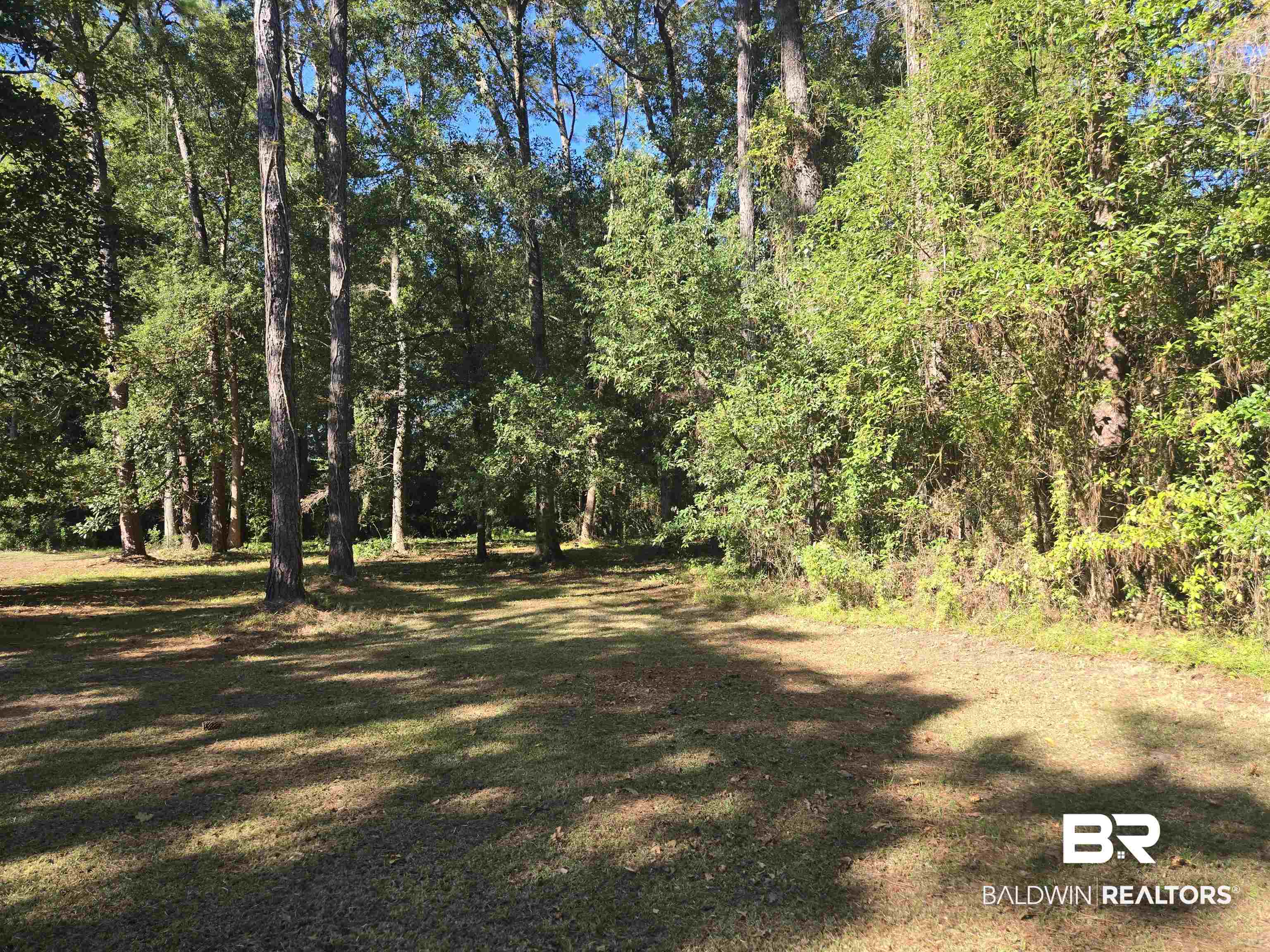 2554 Riverside Drive Mobile, AL 36605 - Photo 40 of 43 View of undeveloped land