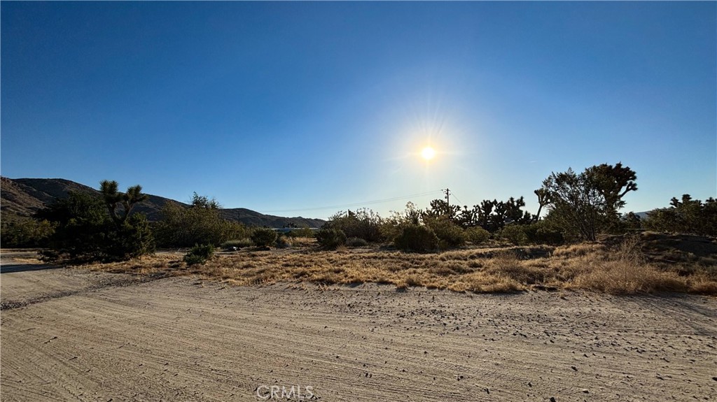 771 Scarvan Road Yucca Valley, CA 92284 - Photo 8 of 8 a view of a dry yard with wooden fence