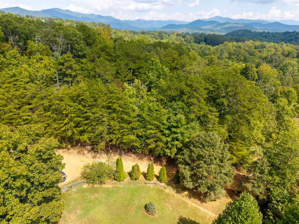 1305 Qualla Road Hayesville, NC 28904 - Photo 12 of 21 Gallery Image 12