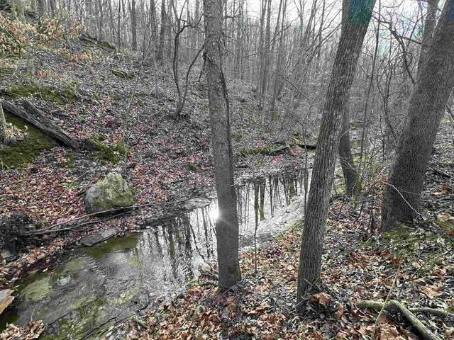 $675,000 | 1300 Shoal Creek Road, Unit 1, Murphysboro, IL 62966