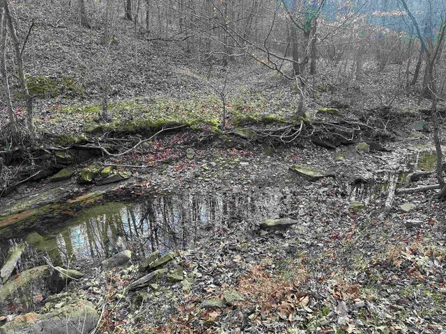 $675,000 | 1300 Shoal Creek Road, Unit 1, Murphysboro, IL 62966