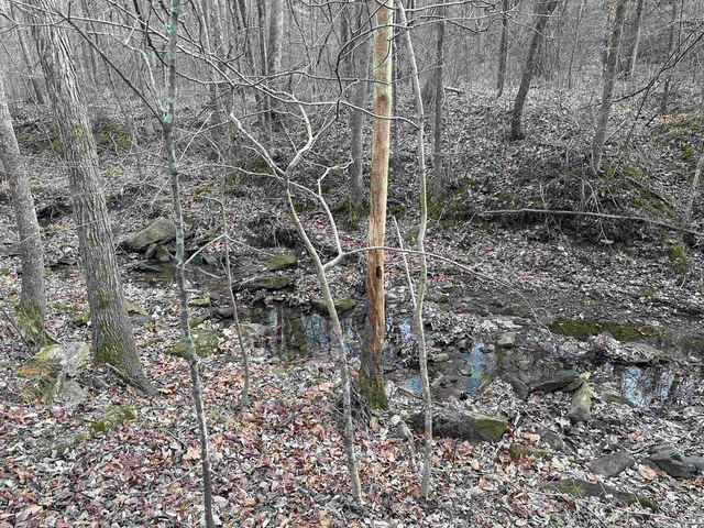 $675,000 | 1300 Shoal Creek Road, Unit 1, Murphysboro, IL 62966