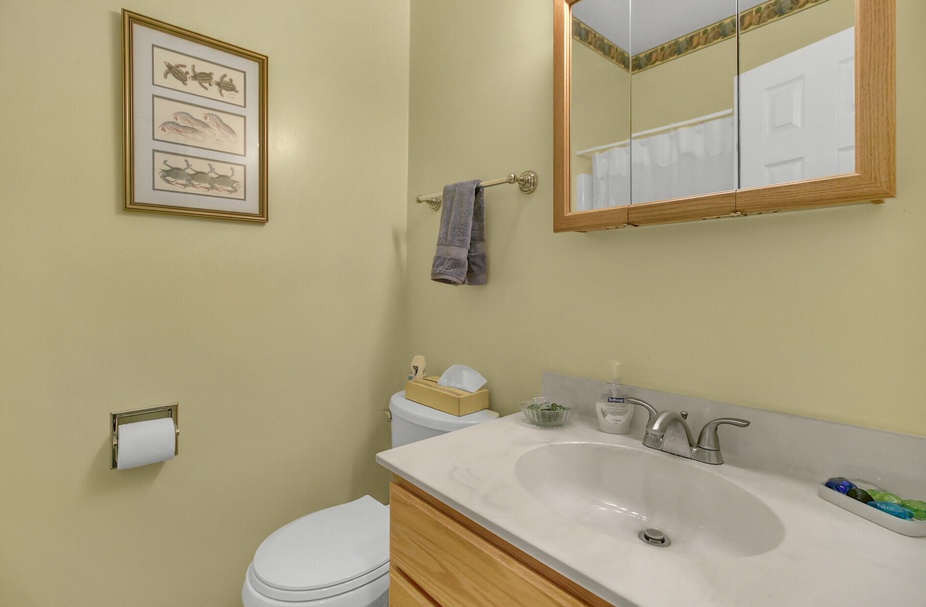 198 Lancaster Road Summerville, SC 29485 - Photo 24 of 34 Hall/Guest Bath